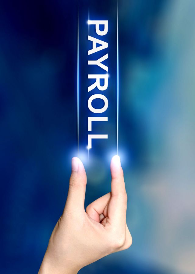 Payroll Services Offered by WeDoLawyers